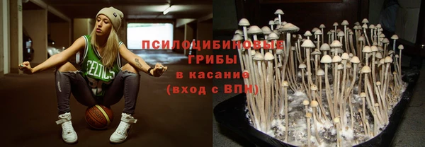 амф Дмитровск