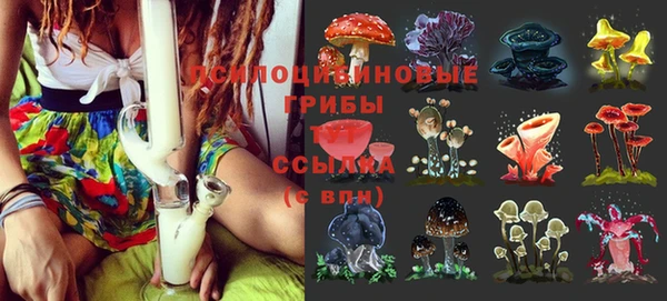 прущие крисы Дмитров
